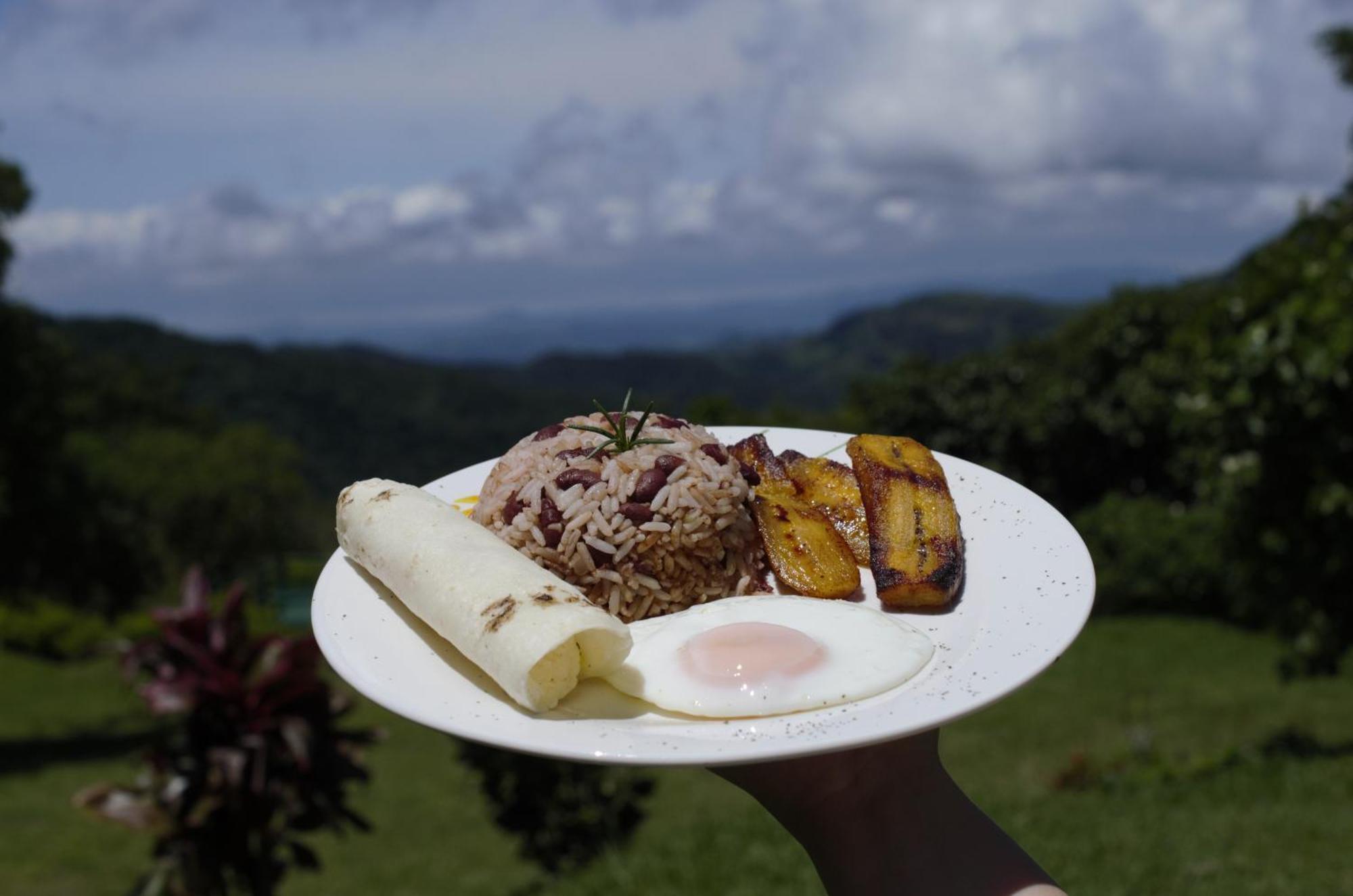 Casitas De Montana Cabuya 호텔 Monteverde 외부 사진